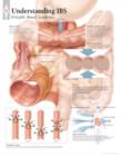 Image for Understanding IBS Laminated Poster