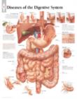 Image for Diseases of the Digestive System Paper Poster