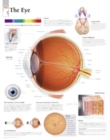Image for Eye Paper Poster