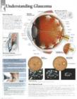 Image for Understanding Menopause Paper Poster