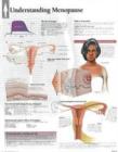 Image for Understanding Menopause Laminated Poster