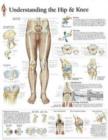 Image for Understanding the Hip &amp; Knee Paper Poster
