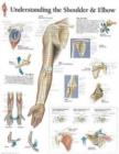 Image for Understanding the Shoulder &amp; Elbow Paper Poster
