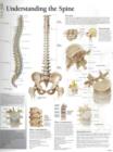 Image for Understanding the Spine Paper Poster