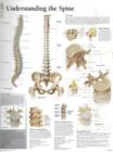 Image for Understanding the Spine Laminated Poster