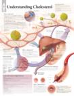 Image for Understanding Cholesterol Laminated Poster