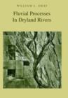 Image for Fluvial Processes in Dryland Rivers
