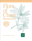 Image for Flora of China Illustrations, Volume 14 - Apiaceae through Ericaceae