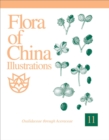 Image for Flora of China Illustrations, Volume 11 - Oxalidaceae through Aceraceae