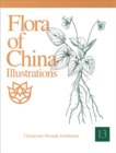 Image for Flora of China Illustrations, Volume 13 - Clusiaceae through Araliaceae