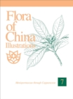 Image for Flora of China Illustrations, Volume 7 - Menispermaceae through Capparaceae