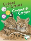 Image for Cuddled and Carried / Consentido y Cargado: Stroller Bag Edition
