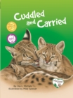 Image for Cuddled and Carried