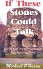 Image for If These Stones Could Talk : Relics of New England&#39;s Intriguing Past