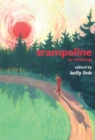 Image for Trampoline : An Anthology