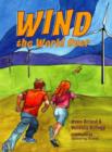 Image for Wind Tales : Adventures in Wind Power