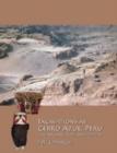 Image for Excavations at Cerro Azul, Peru : The Architecture and Pottery