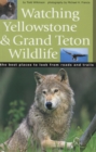 Image for Watching Yellowstone and Grand Teton Wildlife : The Best Places to Look from Roads and Trails