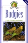 Image for Budgies  : a guide to caring for your parakeet