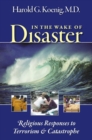 Image for In the Wake of Disaster : Religious Responses to Terrorism and Catastrophe
