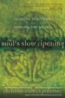 Image for The soul&#39;s slow ripening  : 12 Celtic practices for seeking the sacred