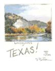 Image for Landscapes of Texas