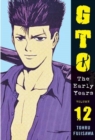 Image for GTO: The Early Years Vol.12