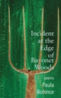 Image for Incident at the edge of Bayonet Woods: poems