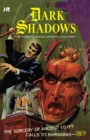 Image for Dark Shadows: The Complete Series Volume 3
