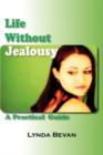 Image for Life Without Jealousy : A Practical Guide