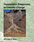 Image for Geomorphic responses to climatic change