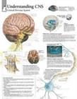 Image for Understanding CNS Laminated Poster