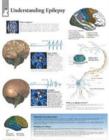 Image for Understanding Epilepsy Laminated Poster