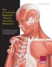 Image for Illustrated Portfolio of Human Anatomy &amp; Pathology, 2nd Edition