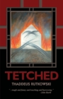 Image for Tetched: A Novel in Fractals