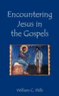 Image for Encountering Jesus in the Gospels