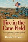 Image for Fire in the Cane Field : The Federal Invasion of Louisiana and Texas, January 1861 - January 1863