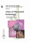Image for Atlas of placental pathology
