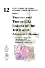Image for Tumors and tumor-like lesions of the testis and adjacent tissues