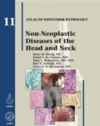Image for Non-Neoplastic Diseases of the Head and Neck