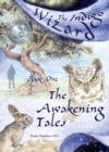 Image for Indigo Wizard Book One: The Awakening Tales