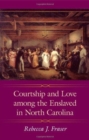 Image for Courtship and Love among the Enslaved in North Carolina
