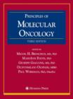 Image for Principles of Molecular Oncology