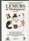 Image for Lemurs of Madagascar