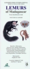 Image for Lemurs of Madagascar: Nocturnal Lemurs : Pocket Identification Guide