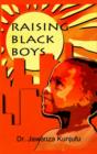 Image for Raising Black Boys
