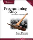 Image for Programming Ruby 1.9  : the pragmatic programmer&#39;s guide
