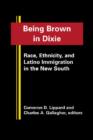 Image for Being brown in Dixie  : race, ethnicity, and Latino immigration in the new South