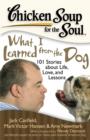 Image for Chicken Soup for the Soul: What I Learned from the Dog : 101 Stories about Life, Love, and Lessons