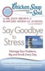 Image for Chicken Soup for the Soul: Say Goodbye to Stress : Manage Your Problems, Big and Small, Every Day